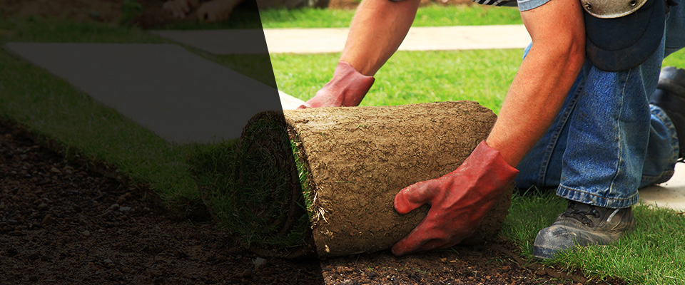 Hawley Landscapers
